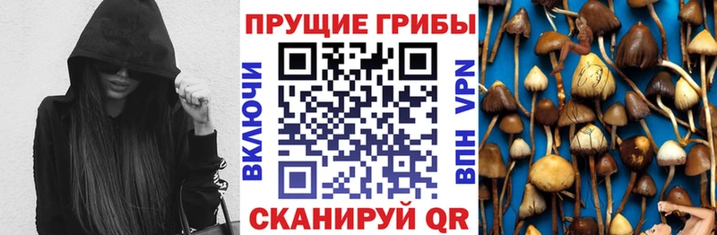 Псилоцибиновые грибы GOLDEN TEACHER  Ленинградская 